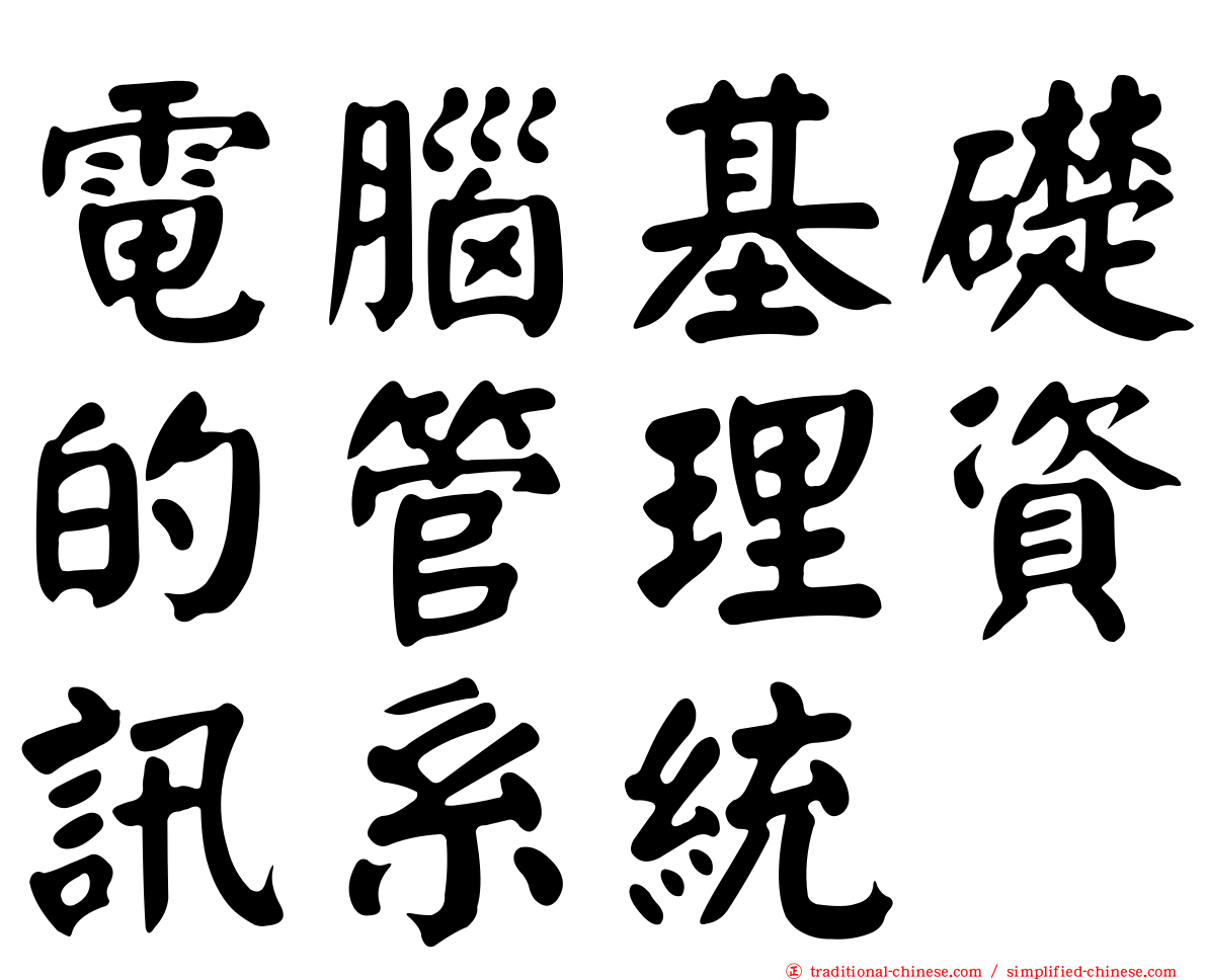 電腦基礎的管理資訊系統