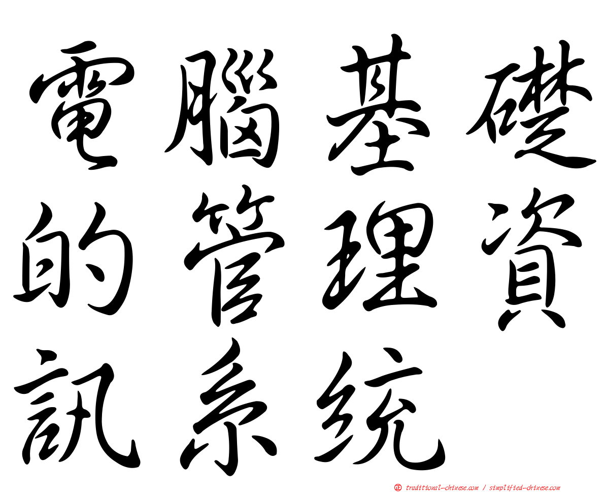 電腦基礎的管理資訊系統
