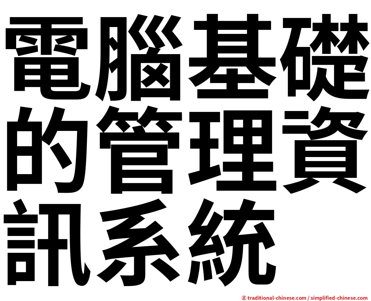 電腦基礎的管理資訊系統