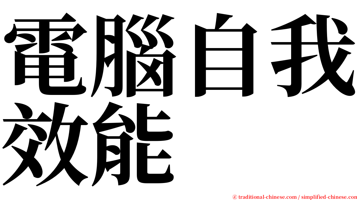 電腦自我效能 serif font