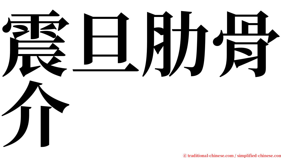 震旦肋骨介 serif font