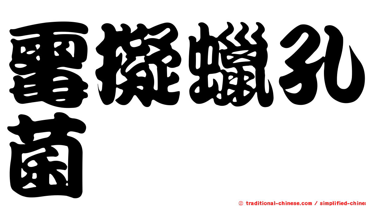 霉擬蠟孔菌