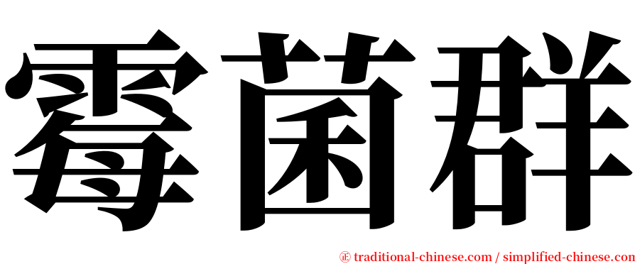 霉菌群 serif font