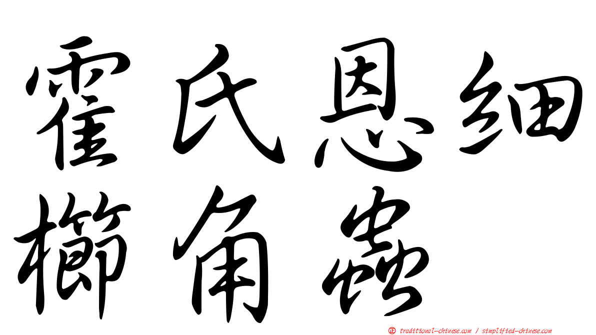 霍氏恩細櫛角蟲