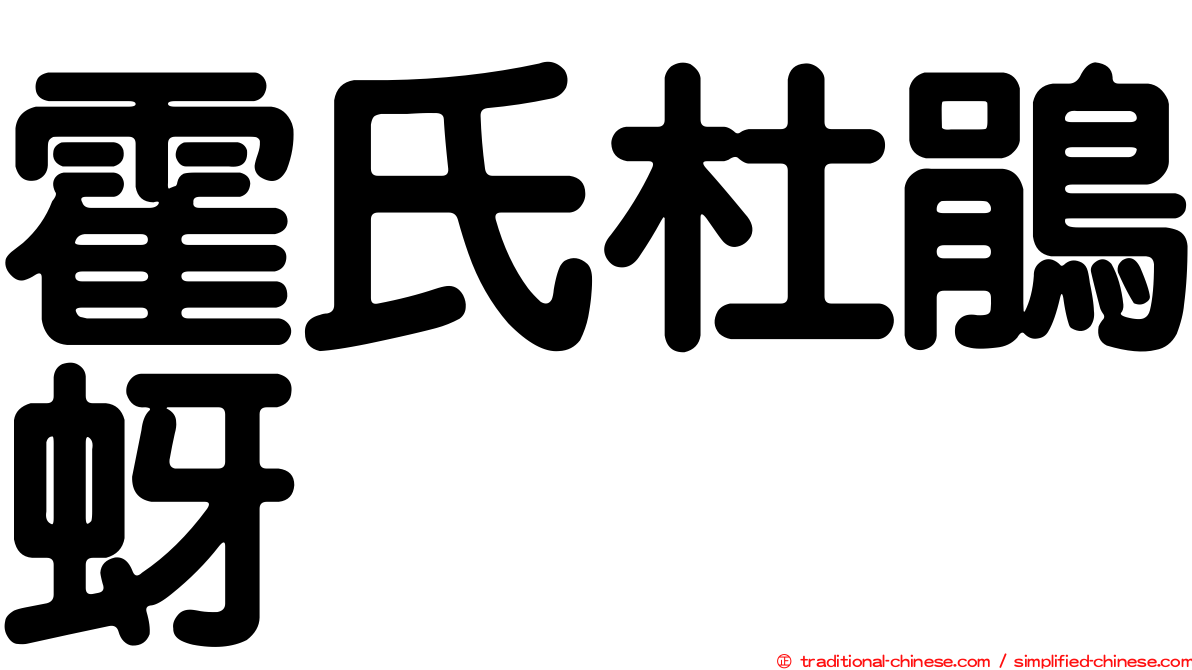 霍氏杜鵑蚜