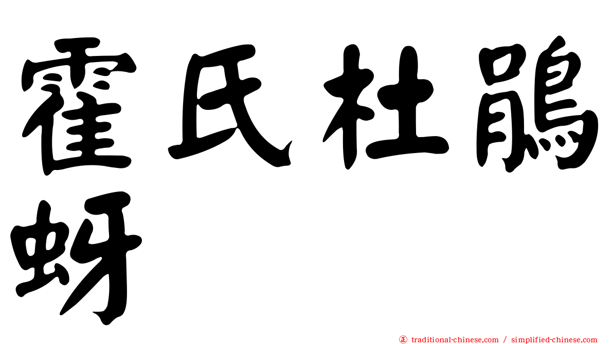 霍氏杜鵑蚜