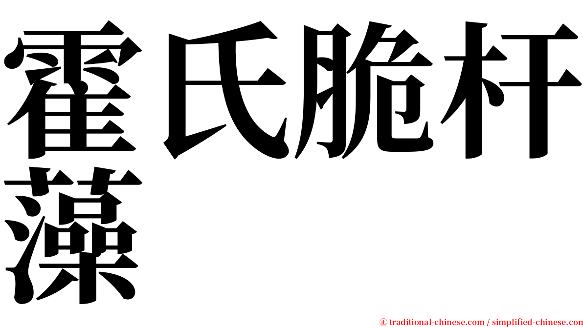 霍氏脆杆藻 serif font