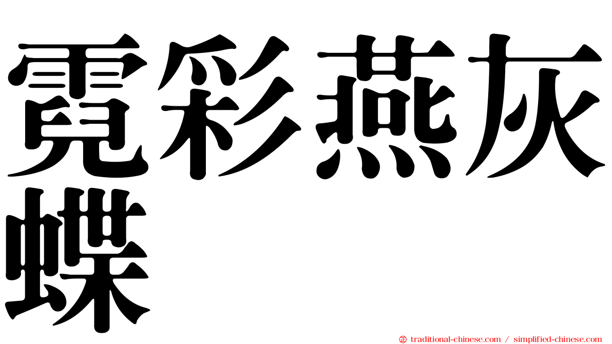 霓彩燕灰蝶