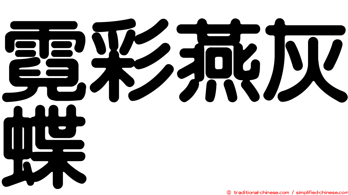 霓彩燕灰蝶