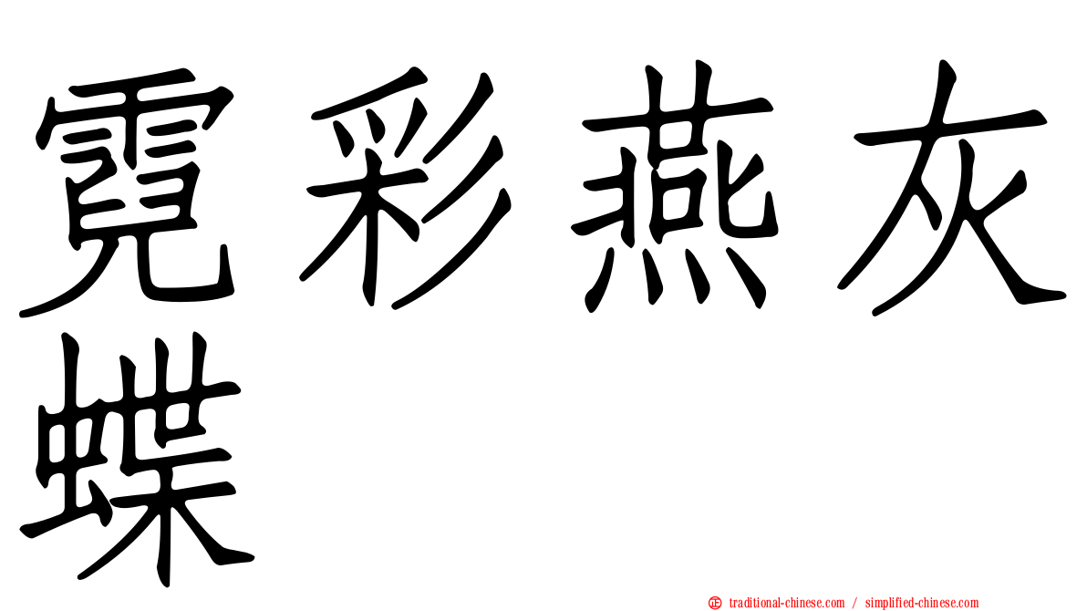 霓彩燕灰蝶