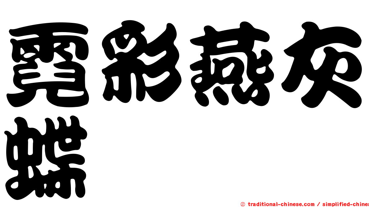 霓彩燕灰蝶