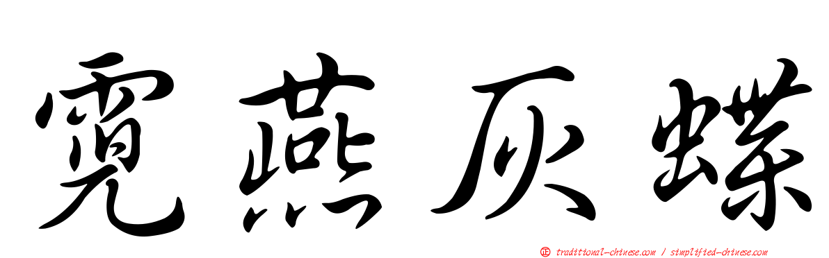 霓燕灰蝶