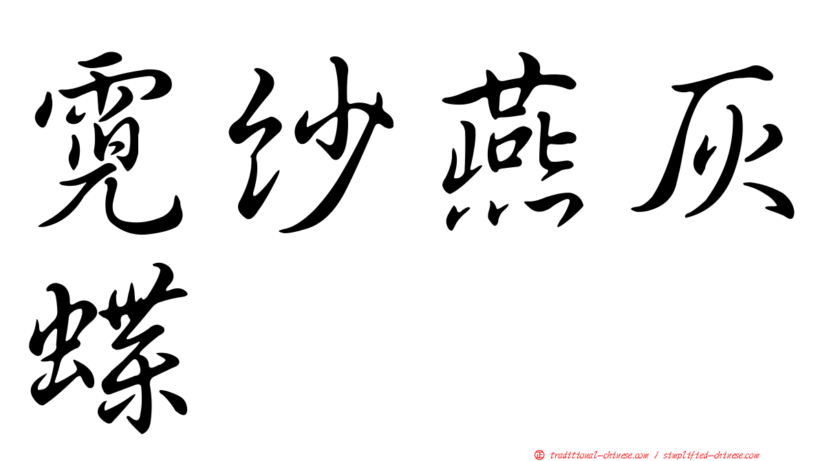 霓紗燕灰蝶