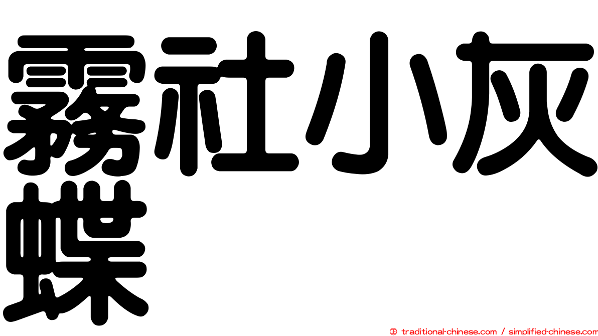 霧社小灰蝶
