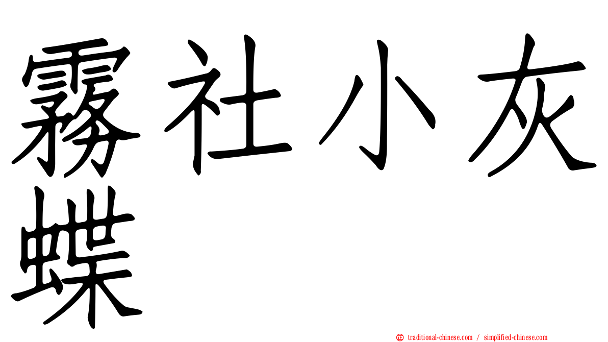 霧社小灰蝶