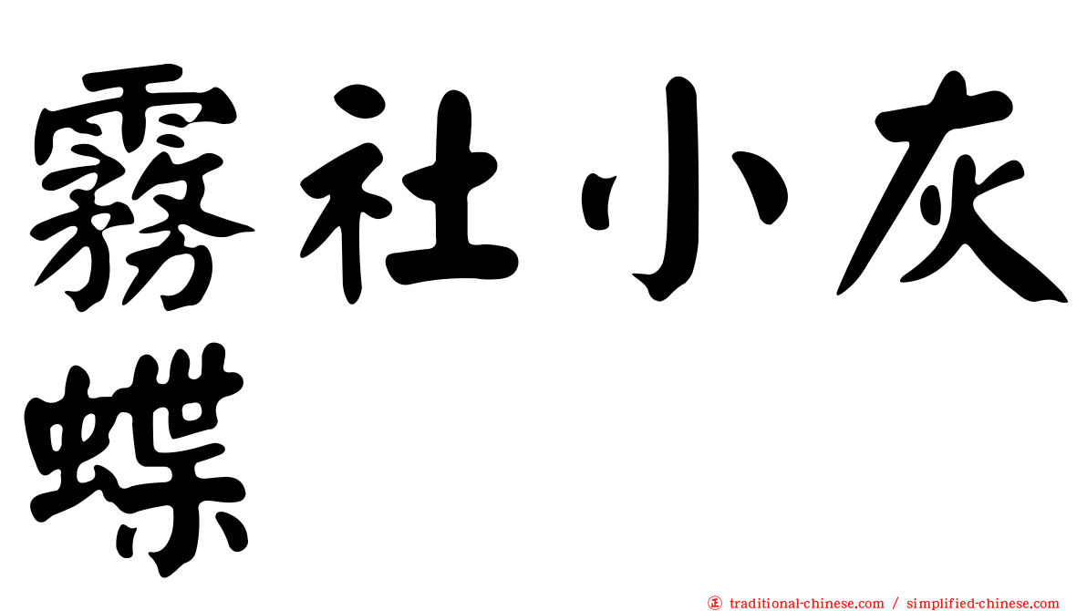 霧社小灰蝶
