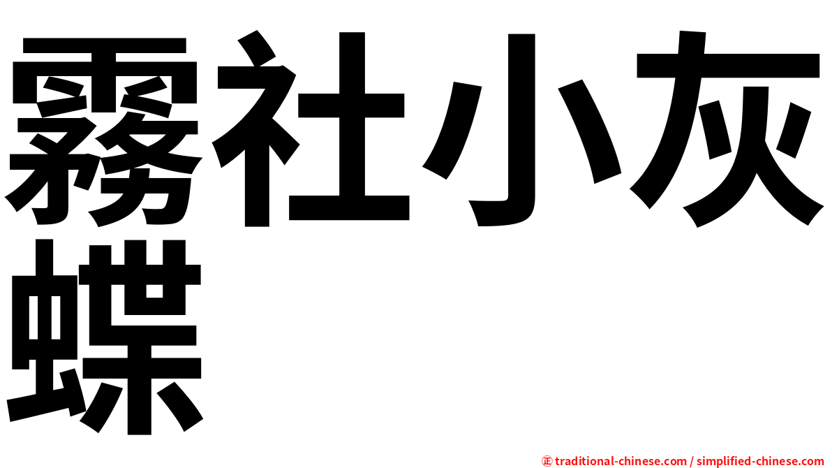 霧社小灰蝶