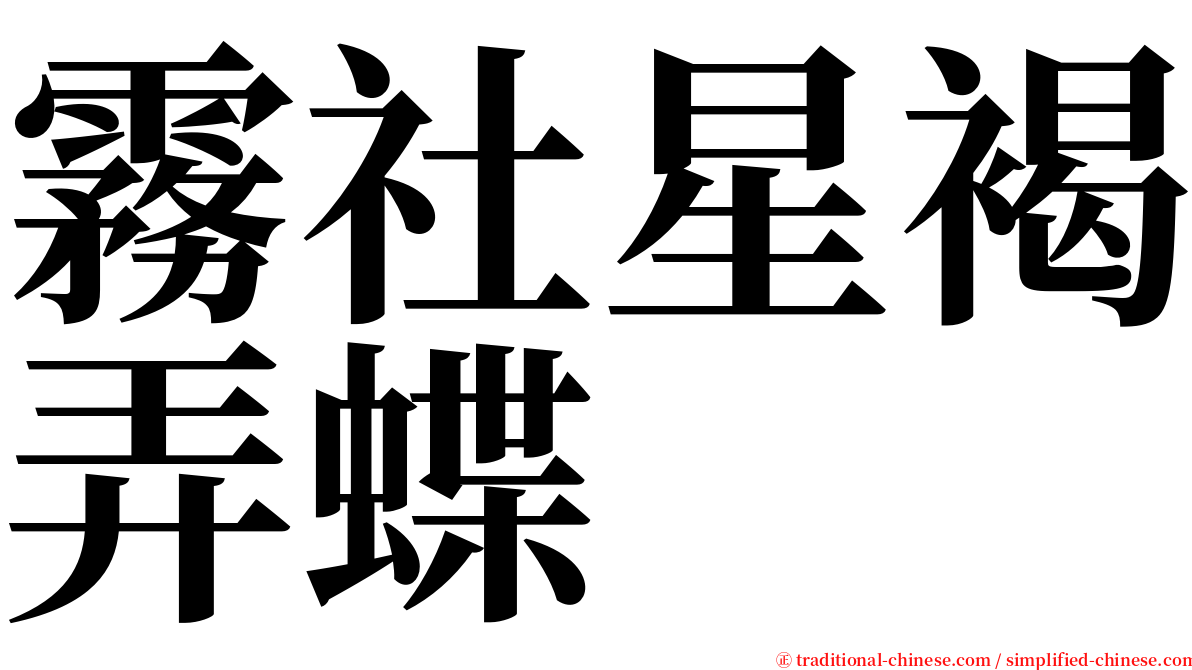 霧社星褐弄蝶 serif font