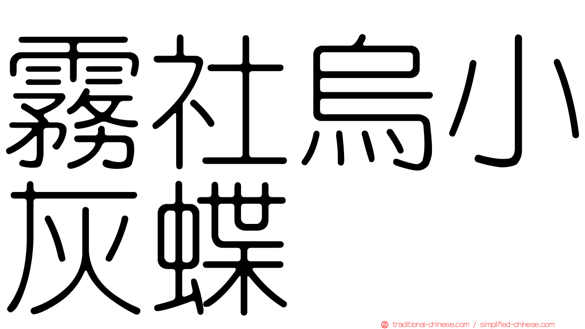 霧社烏小灰蝶