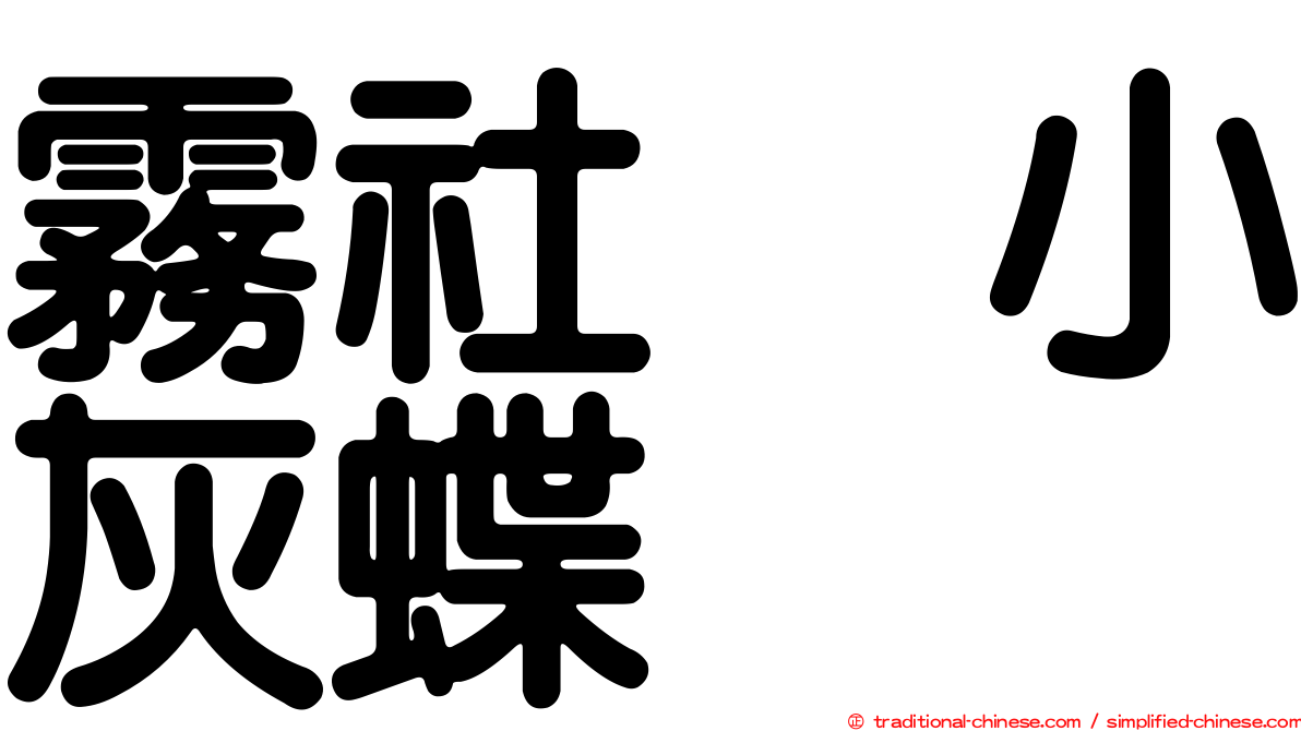霧社烏小灰蝶