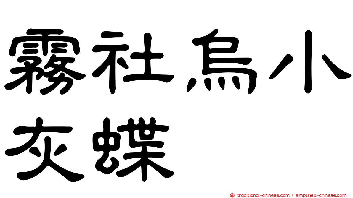 霧社烏小灰蝶