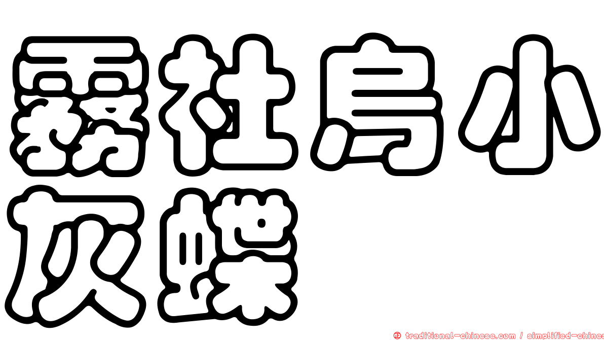 霧社烏小灰蝶