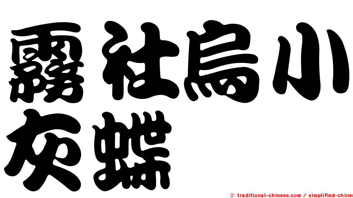 霧社烏小灰蝶