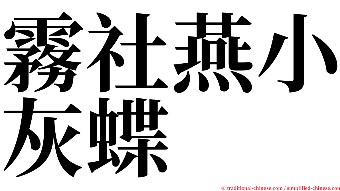 霧社燕小灰蝶 serif font