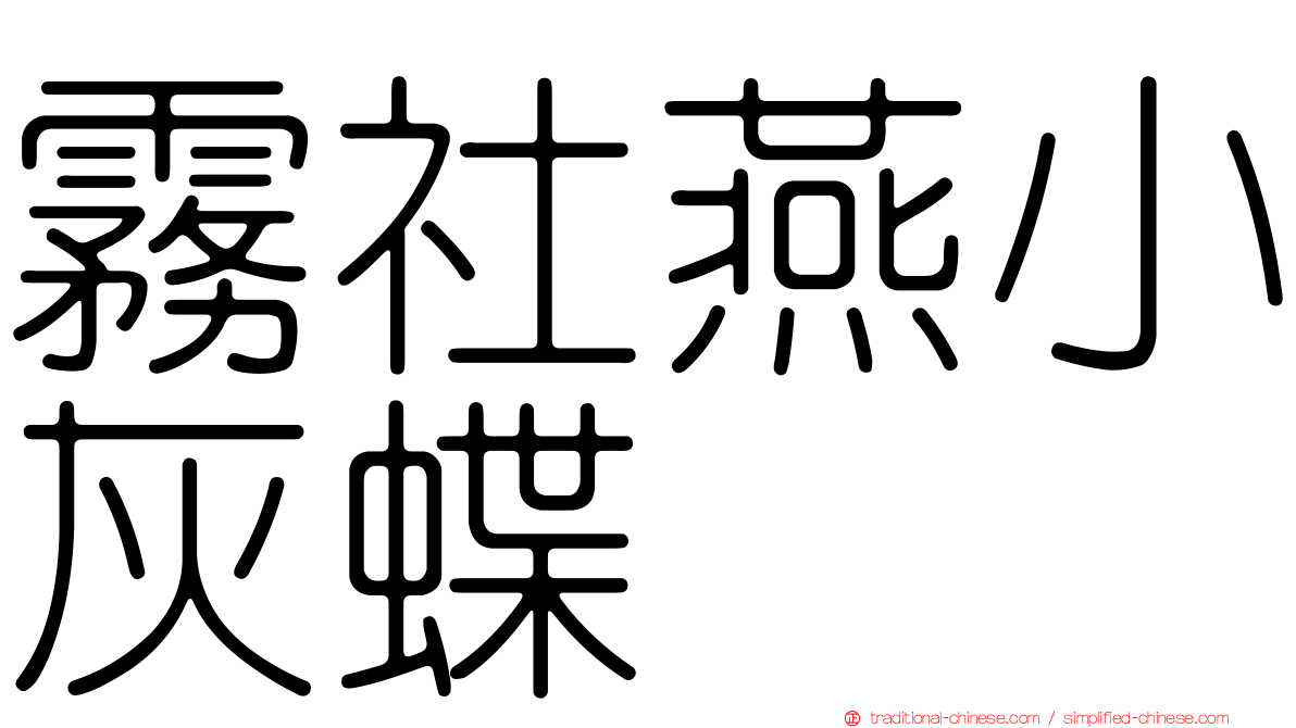 霧社燕小灰蝶