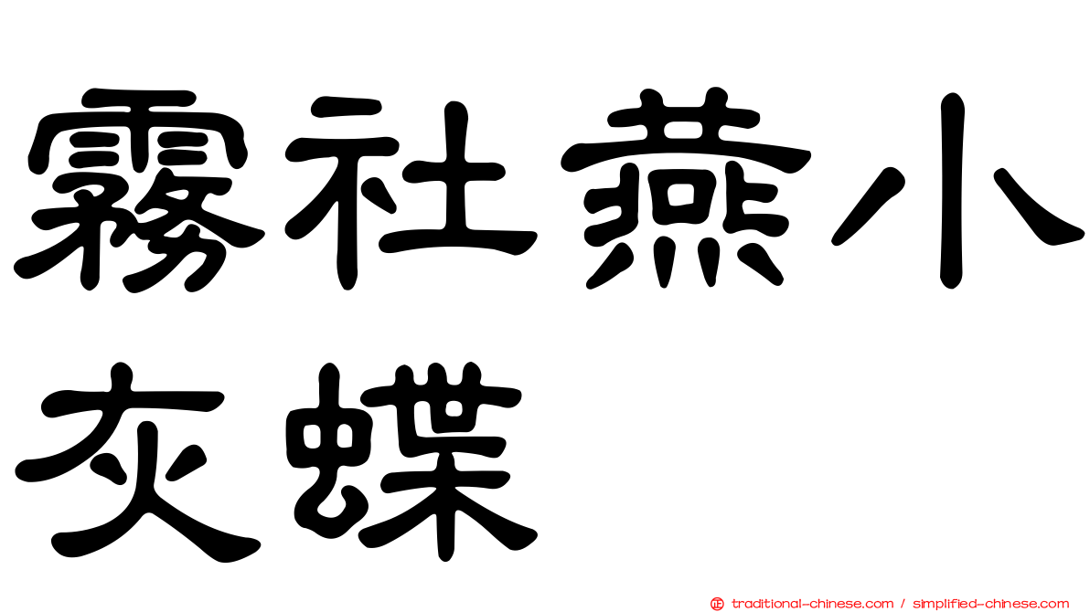 霧社燕小灰蝶