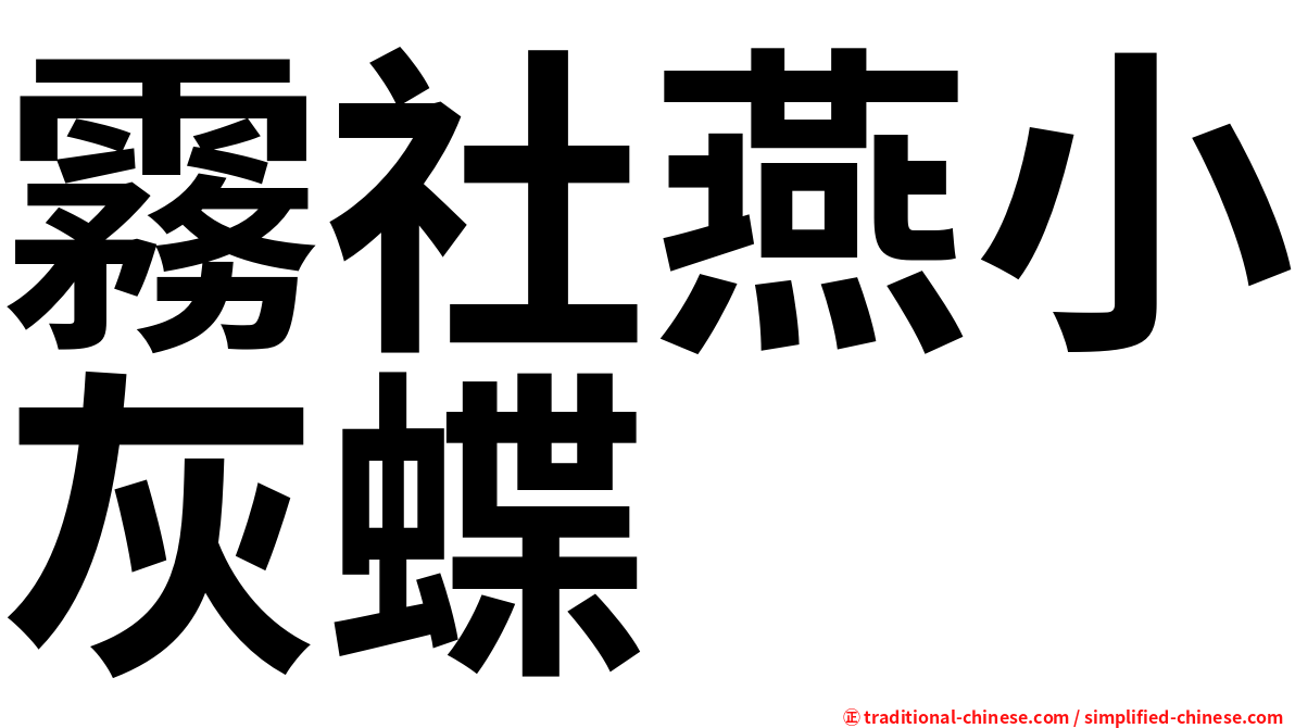 霧社燕小灰蝶