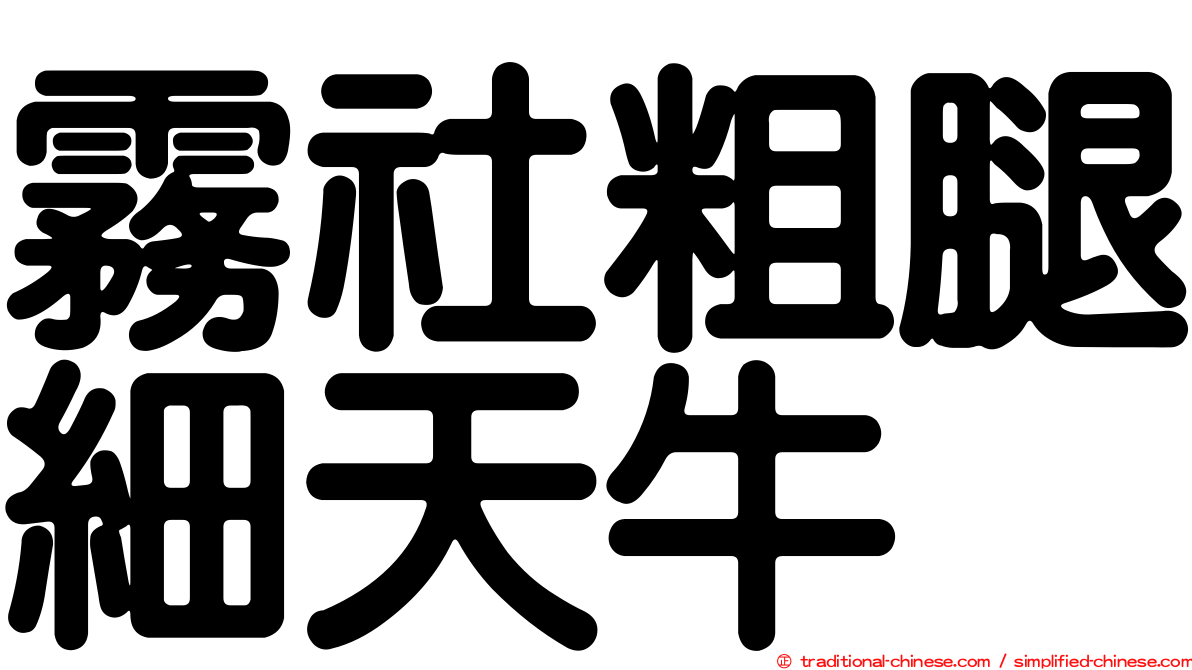 霧社粗腿細天牛