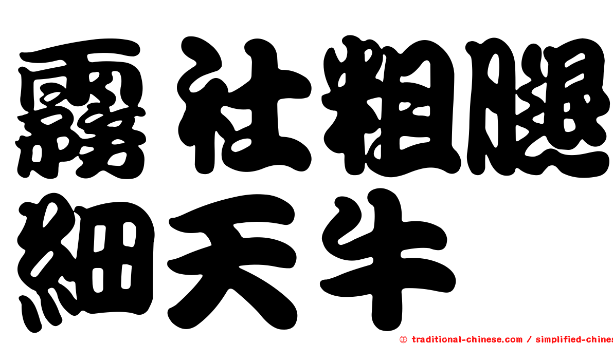 霧社粗腿細天牛
