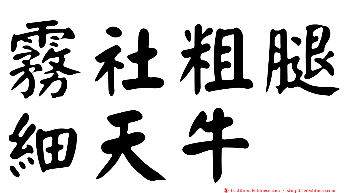 霧社粗腿細天牛