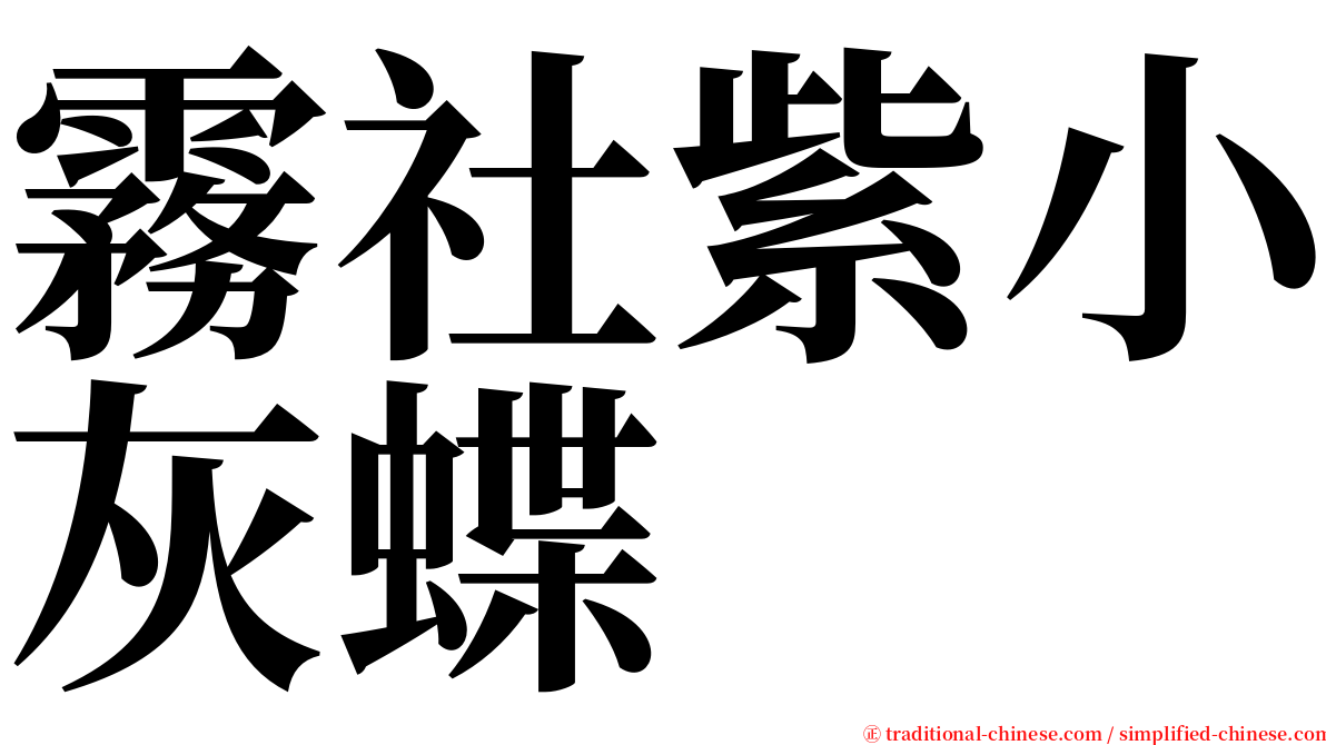 霧社紫小灰蝶 serif font