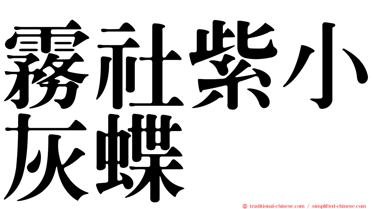 霧社紫小灰蝶