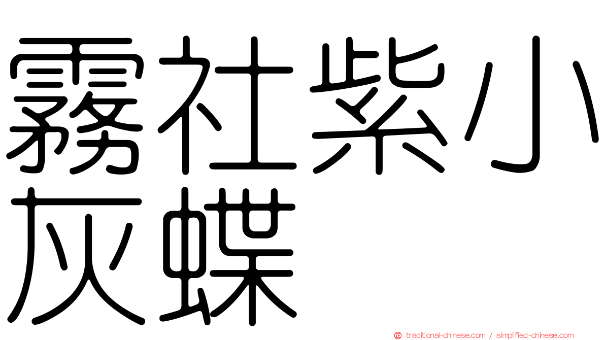 霧社紫小灰蝶