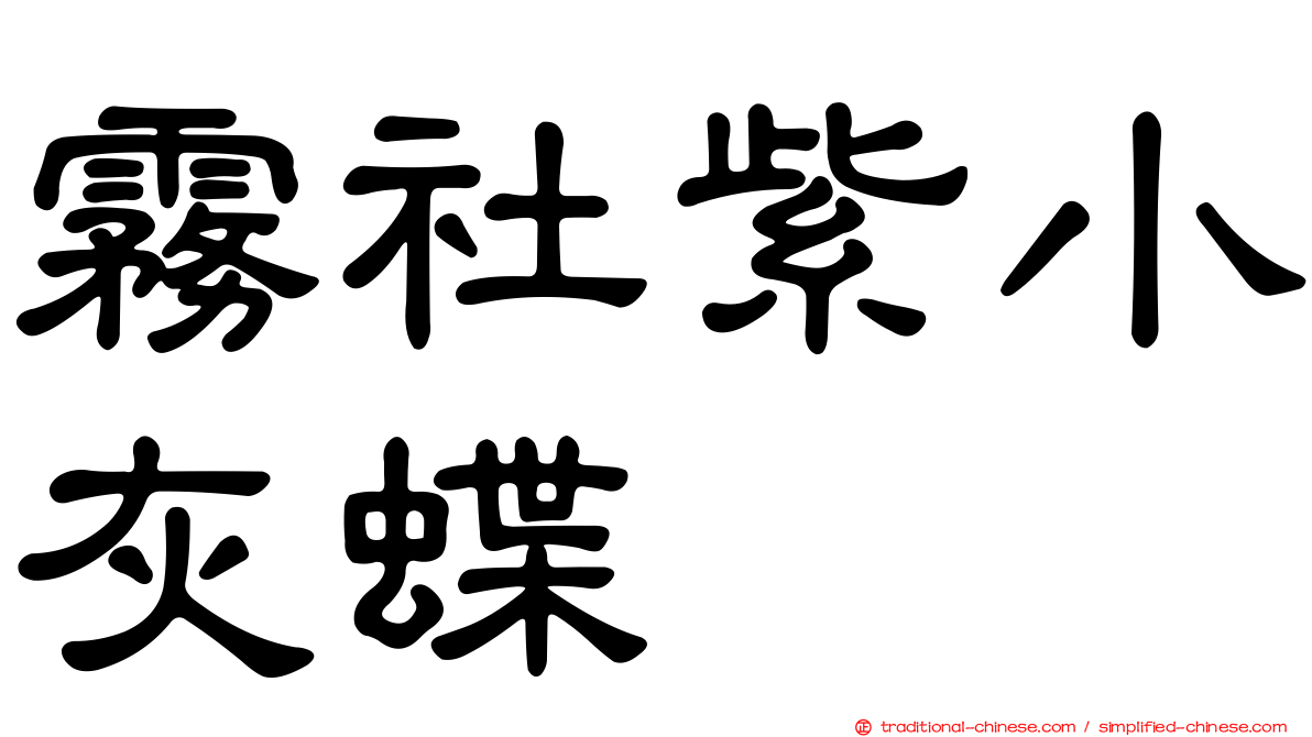 霧社紫小灰蝶