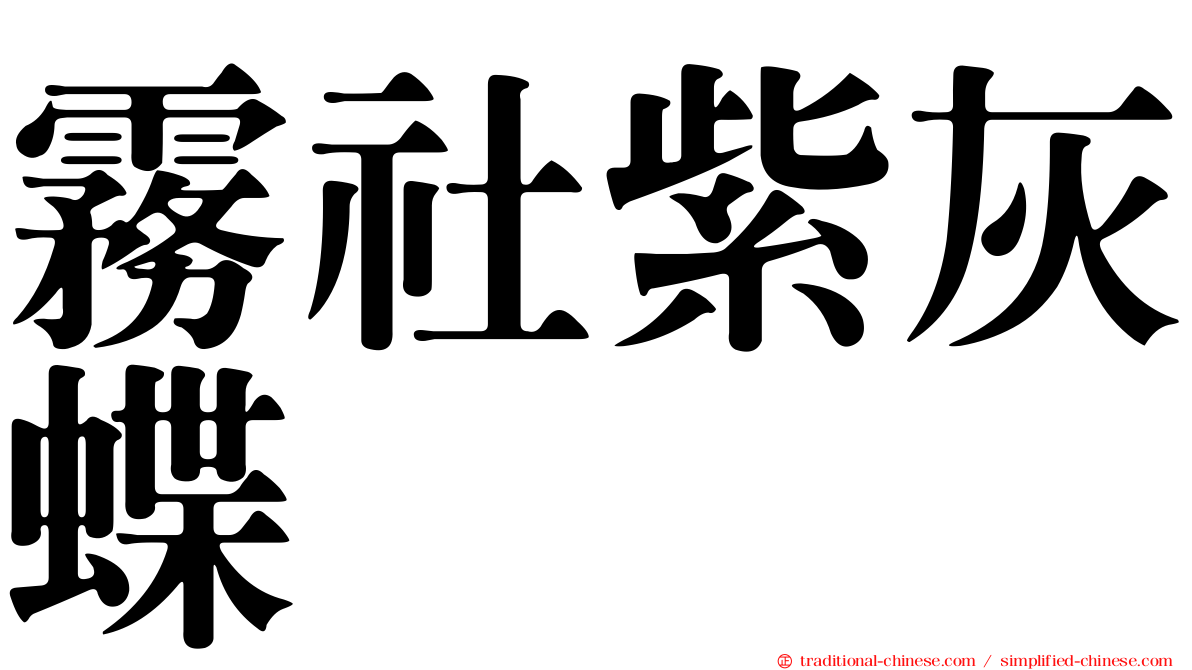 霧社紫灰蝶