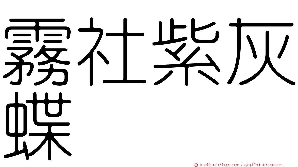 霧社紫灰蝶