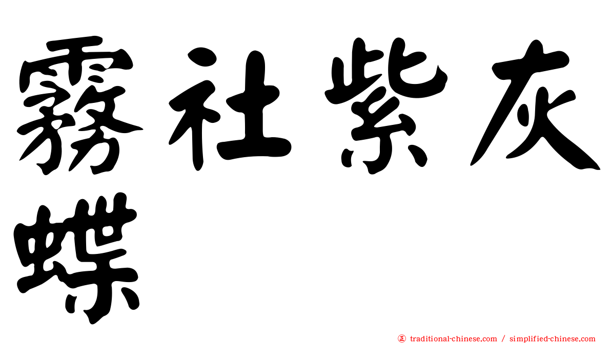 霧社紫灰蝶