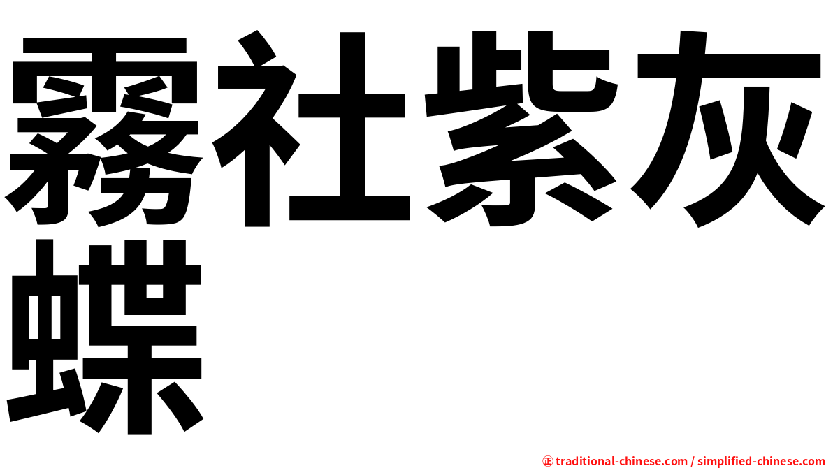霧社紫灰蝶