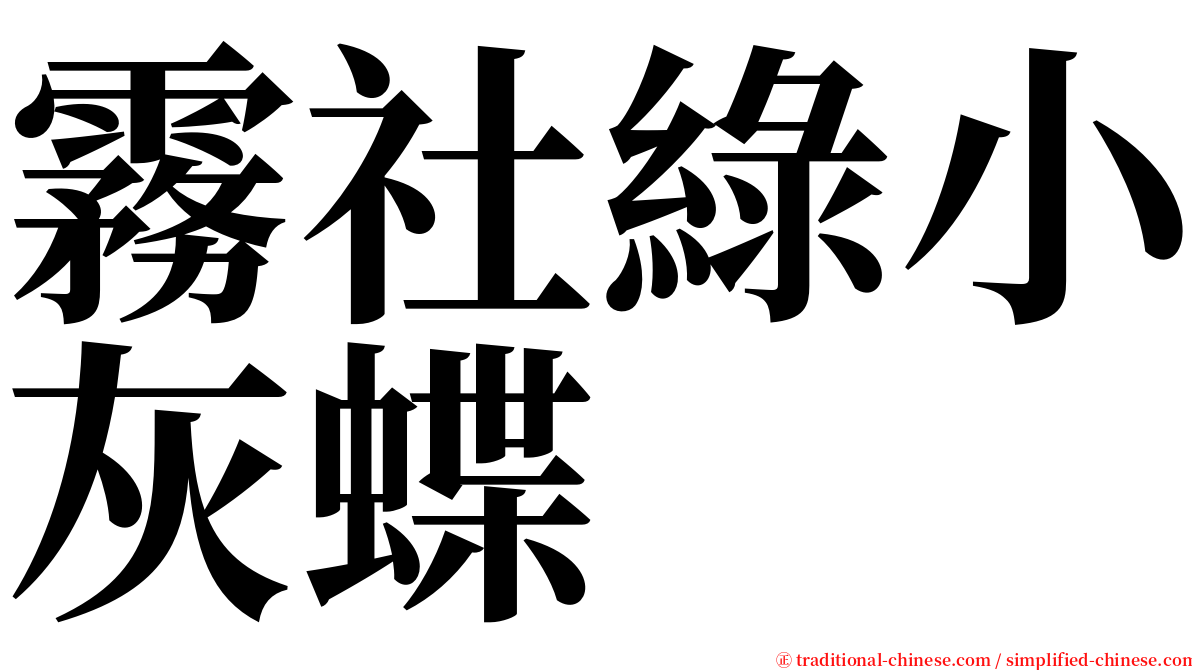 霧社綠小灰蝶 serif font