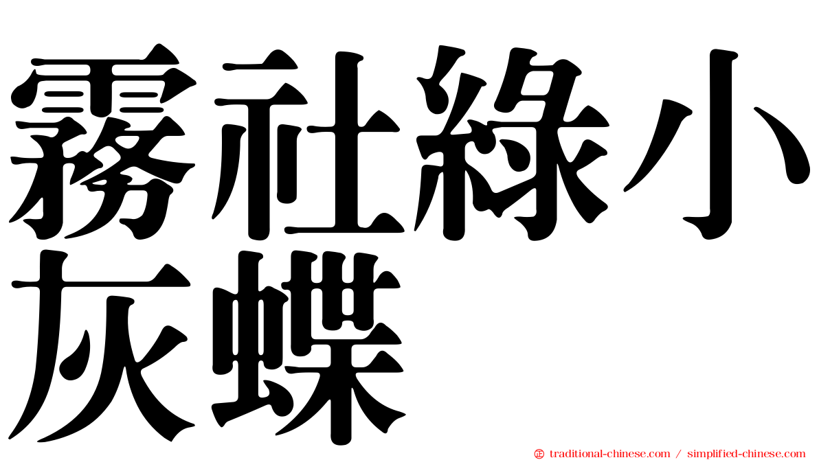 霧社綠小灰蝶