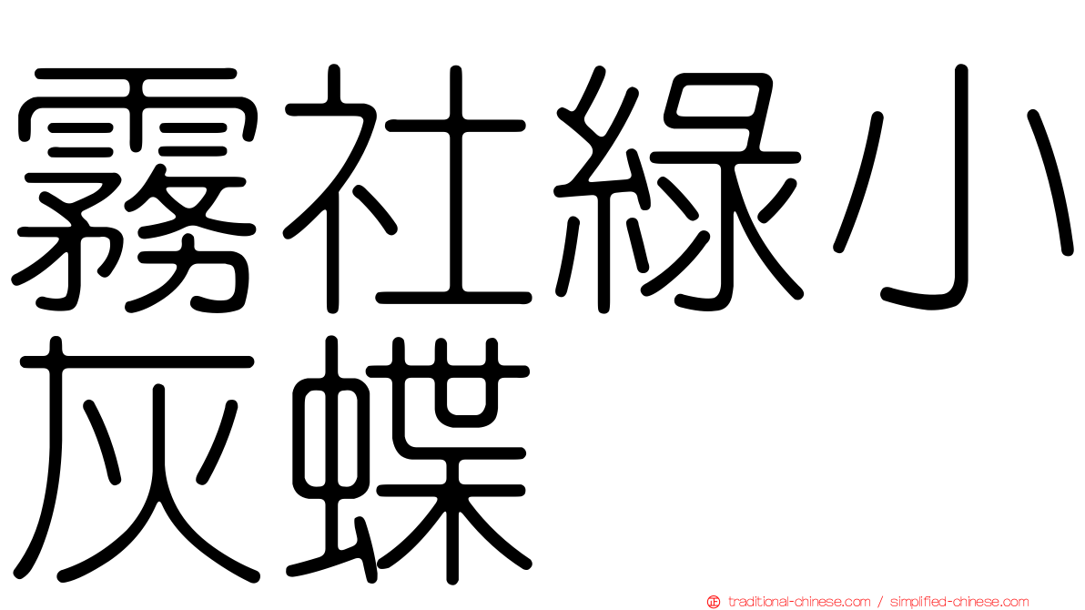 霧社綠小灰蝶