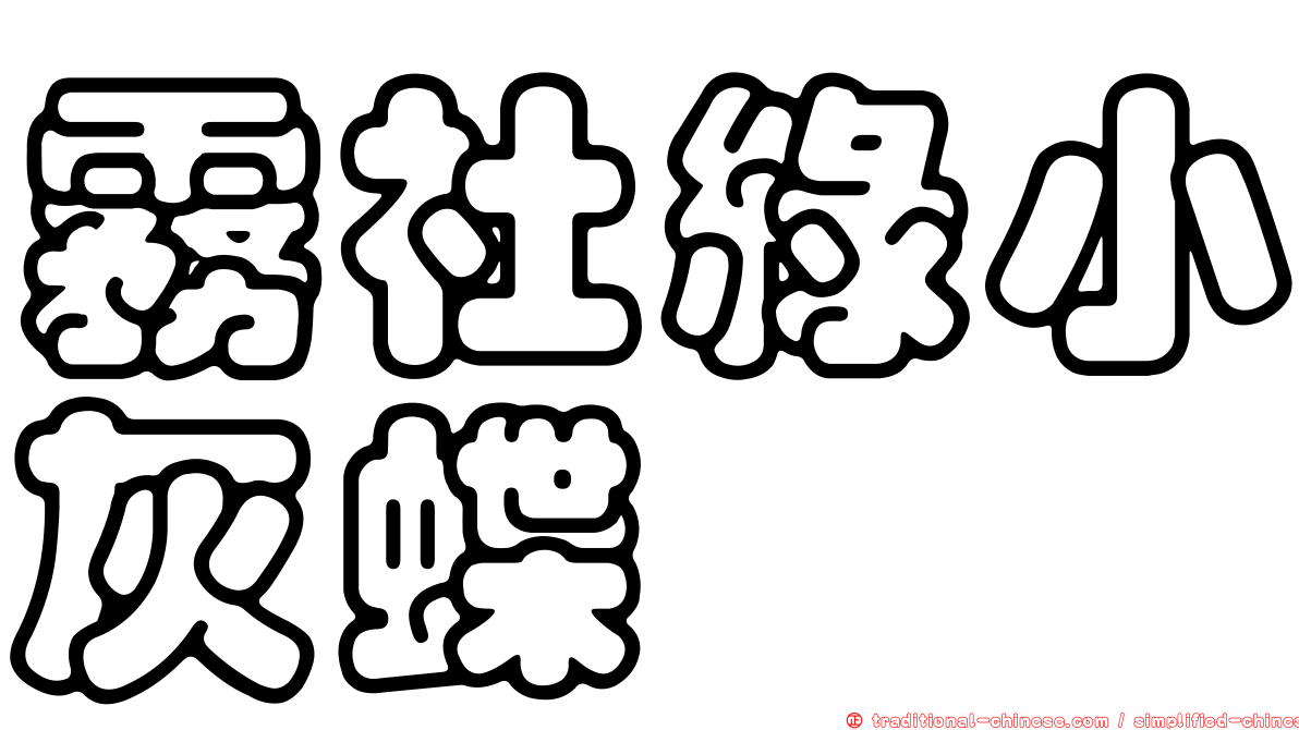 霧社綠小灰蝶