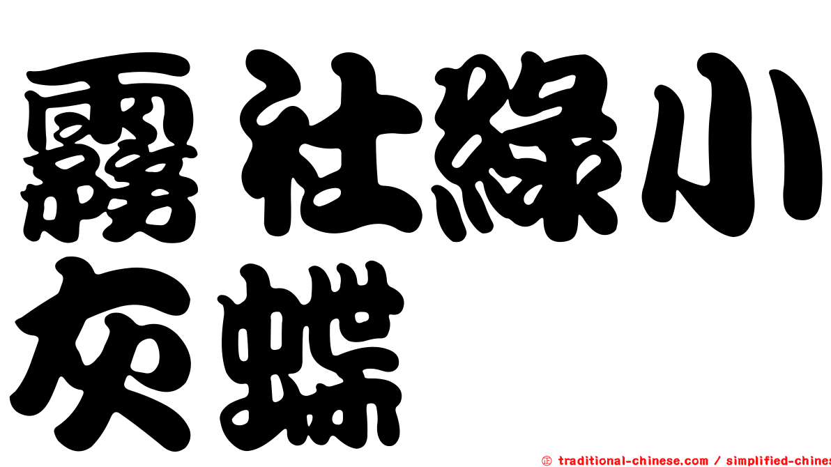 霧社綠小灰蝶