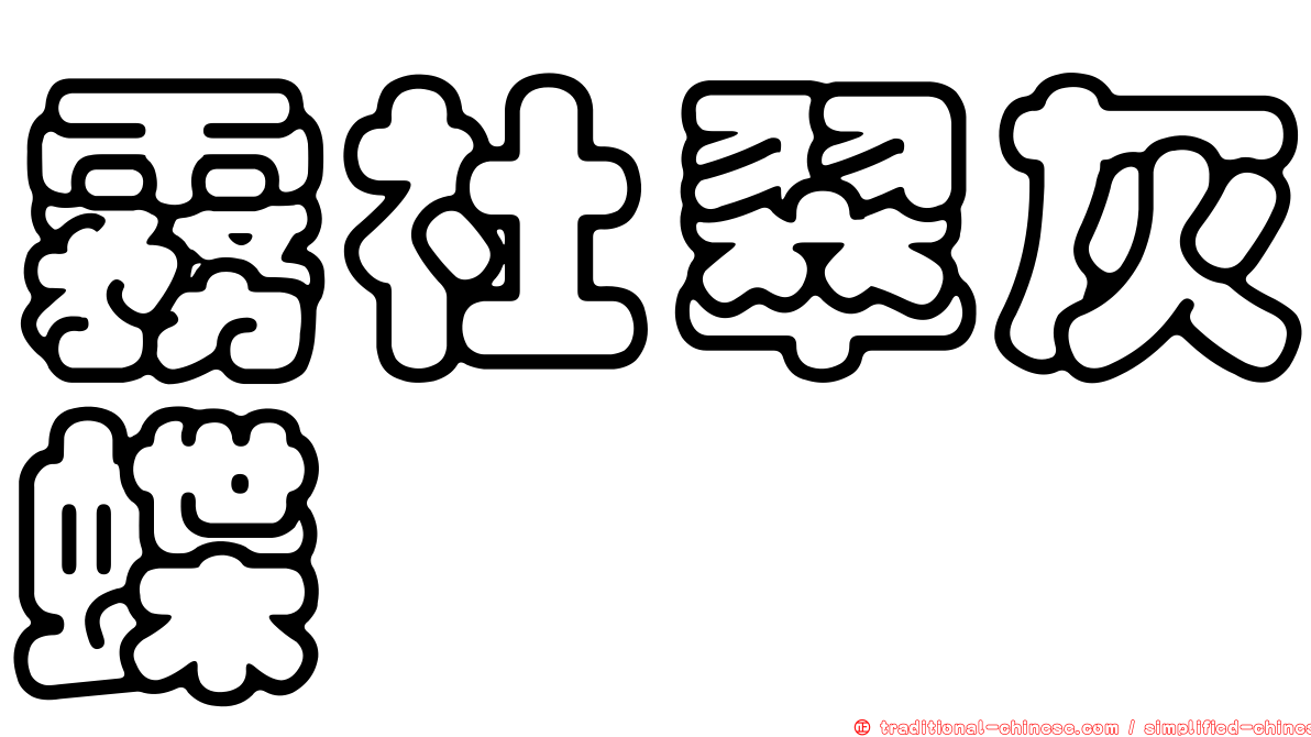 霧社翠灰蝶