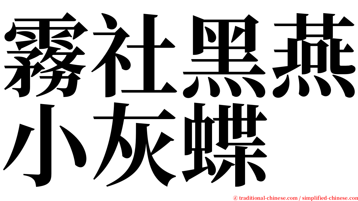 霧社黑燕小灰蝶 serif font