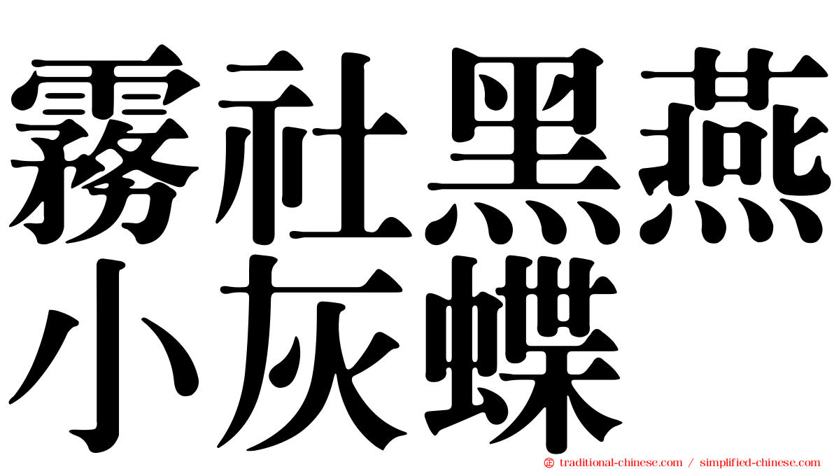 霧社黑燕小灰蝶